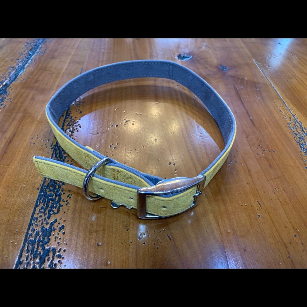 Nice! Yellow and grey suede dog collar. 25”